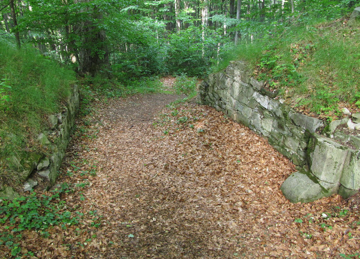 Zřícenina Hradu Křídlo, Czech Republic (Czechia)